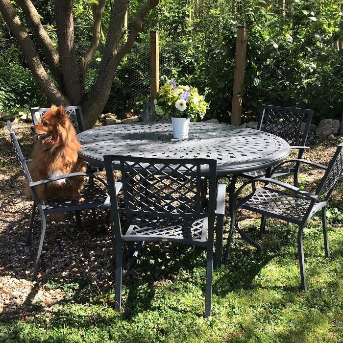 Frances Table 6 Seater Set - Slate - Image 11