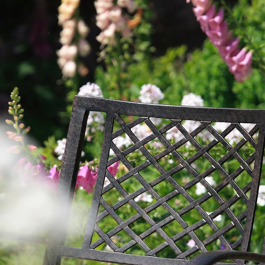 Jane Chair - Antique Bronze - Image 3