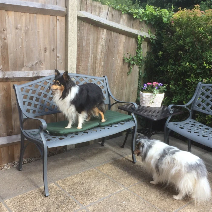 Jasmine Bench Set - Slate - Image 15