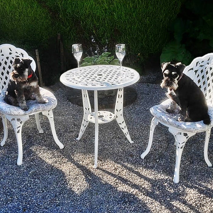 Rose Bistro 2 Seater Set - White - Image 6
