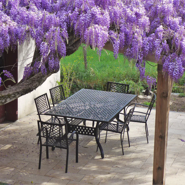 Sophia Table 6 Seater Set - Antique Bronze - Image 5